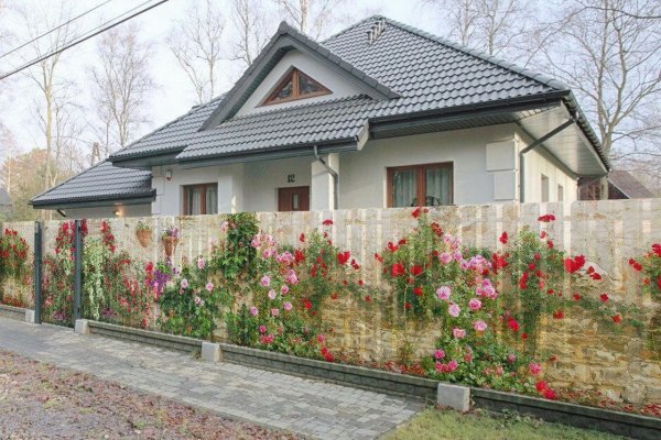 Кракен новый сайт
