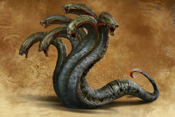 Kraken 14at