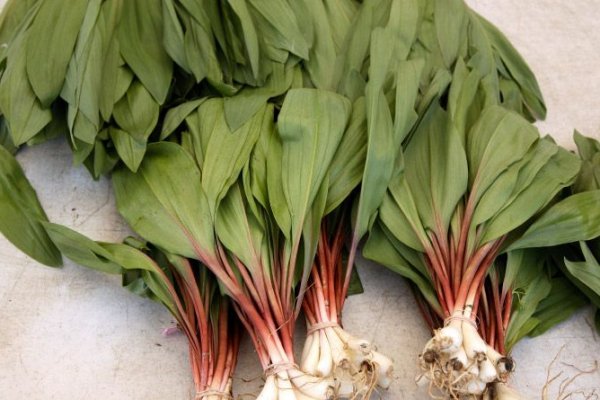 Onion сайт кракен